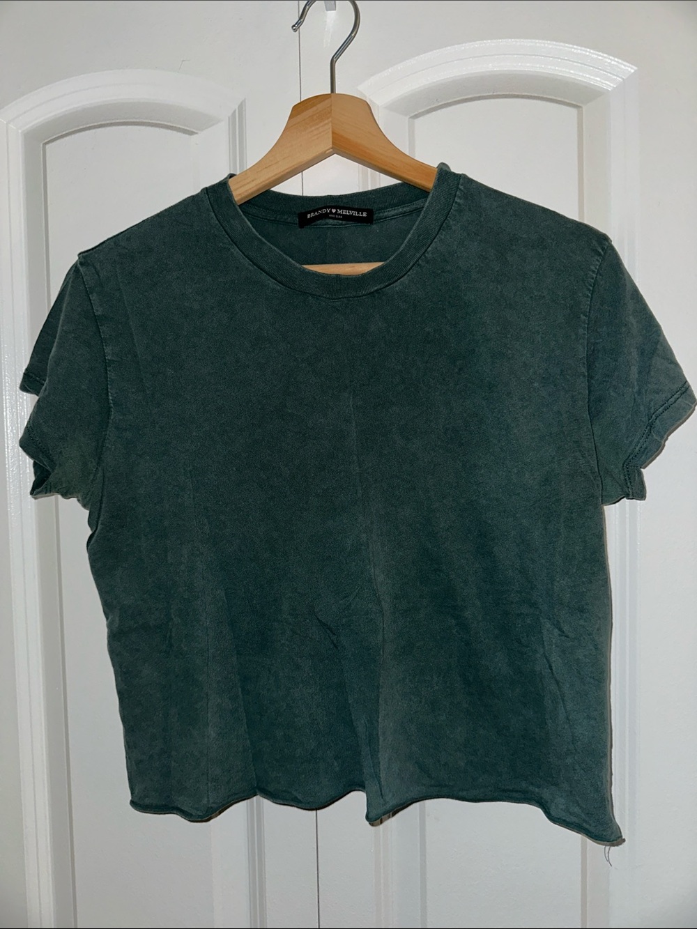 Brandy Melville Dark Green Cropped Tee